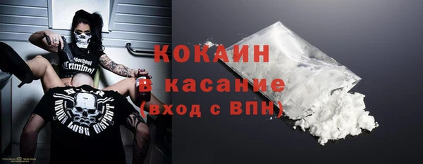 прущие грибы Балабаново