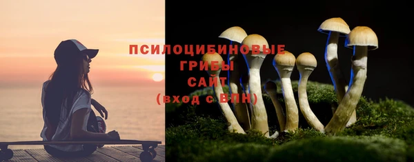 прущие грибы Балабаново