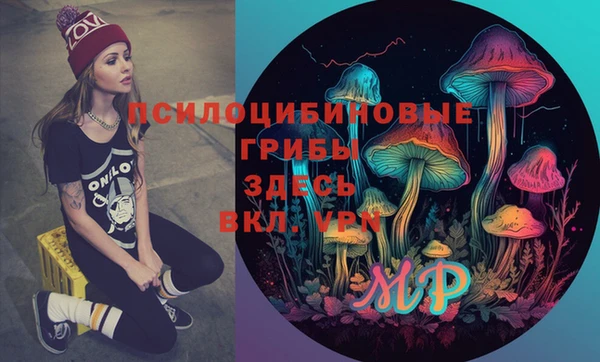 прущие грибы Балабаново