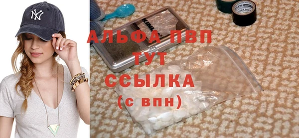 прущие грибы Балабаново
