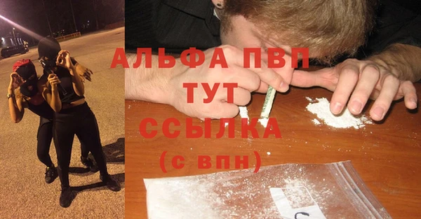 прущие грибы Балабаново