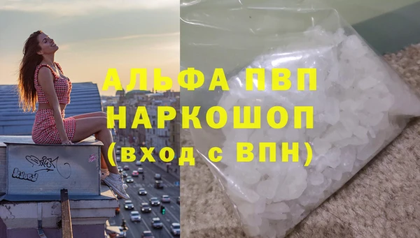 прущие грибы Балабаново