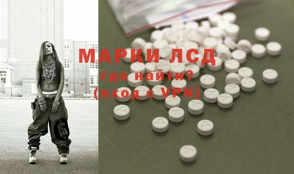 прущие грибы Балабаново