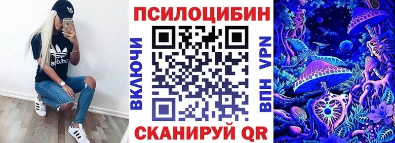 Галлюциногенные грибы Psilocybine cubensis  купить   Верхнеуральск 